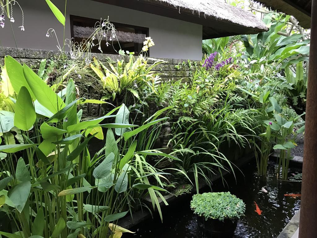 Bali Villa Aja Seminyak  Luaran gambar
